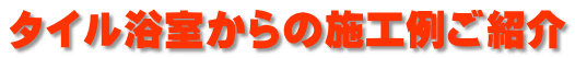 �^�C����������̎{�H�Ⴒ�Љ�