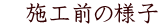 �@�{�H�O�̗l�q