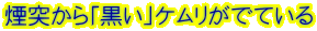 ���˂���u�����v�P�������łĂ���