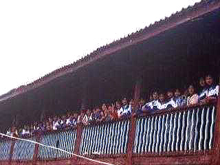 chakri1.jpg